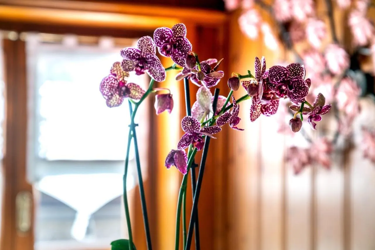 Ambra Cortina Luxury&Fashion Hotel Cortina d'Ampezzo
